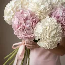 IMG-3423236.webp