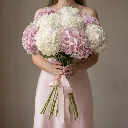 IMG-3423232.webp