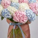IMG_95336.webp