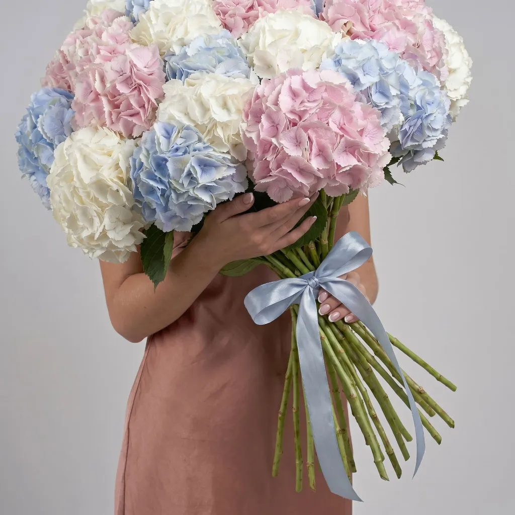 IMG_95335.webp