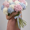 IMG_95335.webp