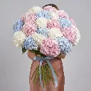 IMG_95331.webp